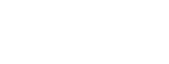 logo allopneus